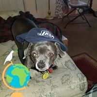 Profile Picture of Steve York (@steve-york-15) on Quora