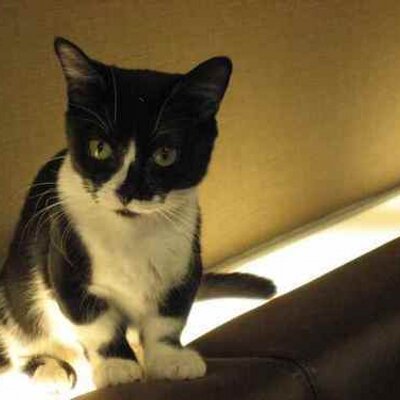 Profile Picture of Neil Finn (@dj_phin) on Twitter