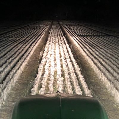 Profile Picture of Andrew Whitlock (@andrew_whitlock) on Twitter