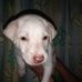 Profile Picture of Robert Cilles (@robert.cilles.10) on Facebook