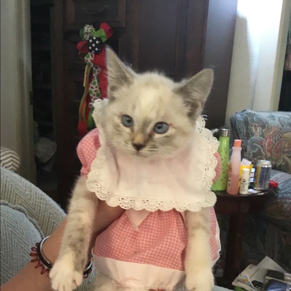 Profile Picture of Susan Farfour (@susanf4) on Poshmark