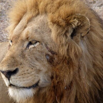Profile Picture of Simon Lyons (@Acentral76Simon) on Twitter