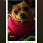 Profile Picture of Debra Oconner (@debra.oconner.7) on Facebook