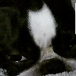 Profile Picture of eric (@eric_grabowski_) on Instagram