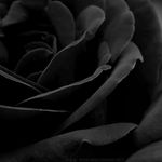 Profile Picture of Jade Schenker (@jade_gamergurl) on Instagram