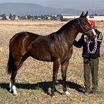 Profile Picture of Cesar Rueda (@ruedacesar) on Instagram