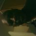 Profile Picture of Dennis Parrish (@dennis.parrish.18) on Facebook