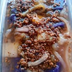 Profile Picture of Noel Gabriel (@jak.almazar) on Facebook