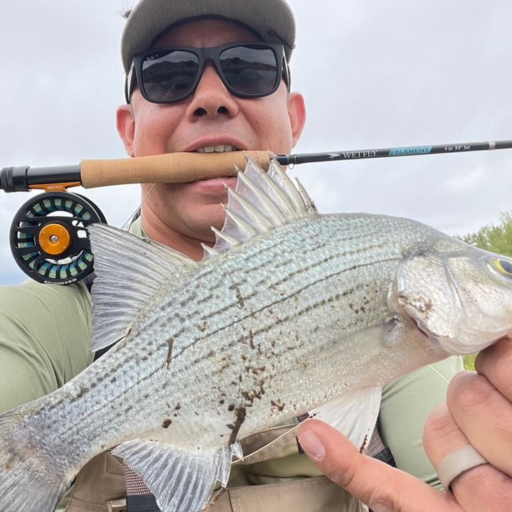 Profile Picture of Michael Hurley (@@michaelhurley0712) on Tiktok