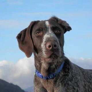 Profile Picture of Ian Struthers (@ian.struthers.90) on Facebook
