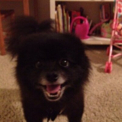 Profile Picture of Lisa Calvert (@calvert_r) on Twitter