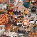 Profile Picture of Julia Dicecco (@jdicecco2029) on Pinterest