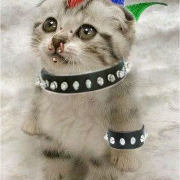 Profile Picture of Arevik Keshishyan (@arevik1) on Poshmark