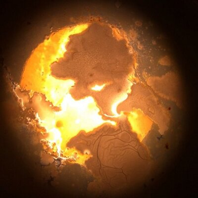 Profile Picture of David Bovill (@SciMatch) on Twitter