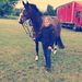 Profile Picture of Marc Herve (@marc_and_harmon) on Pinterest
