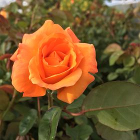 Profile Picture of Belle Glenn (@06hzmr1oi0j657o) on Pinterest