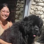 Profile Picture of Laurence Calabrese (@laurence.calabrese.9) on Facebook