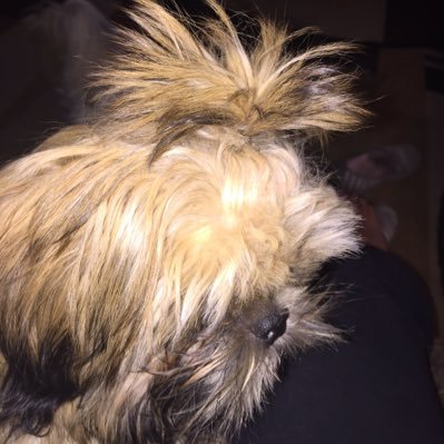 Aidan O'Neill - Twitter Profile Picture of Aidan O'Neill (@aidanoneill23) on Twitter