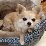 Donna Friery - Instagram Profile Picture of Donna Friery (@donnafriery) on Instagram