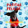 Profile Picture of Patitas Felices (@frankbarrios.com) on Tiktok
