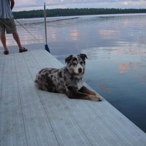 Profile Picture of Stephanie Holland (@stephanie1966) on Myspace