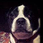 Profile Picture of Drew Kennedy (@dk_music) on Flickr