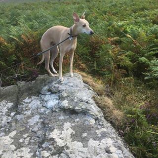 Mike Hathway - Facebook Profile Picture of Mike Hathway (@Mike-Hathway) on Facebook