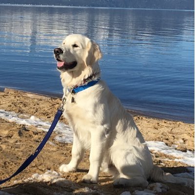 Profile Picture of John Welter (@JohnWelter1105) on Twitter