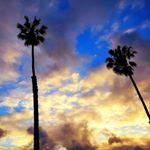 Alex Crane - Instagram Profile Picture of Alex Crane (@insaneinthecrane) on Instagram