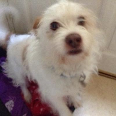 Profile Picture of Daniel Devey (@DanielO71074481) on Twitter