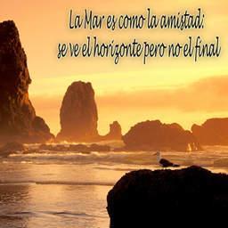 Omar Vera Vera - Twitter Profile Picture of Omar Vera Vera (@97Omarvera) on Twitter