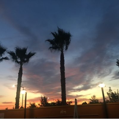 Profile Picture of Phyllis Alexander (@Phyllis07428305) on Twitter