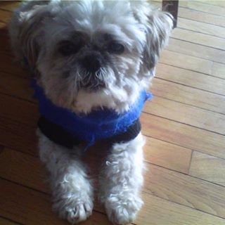 Profile Picture of Coopper Clancy (@coopper.clancy) on Facebook