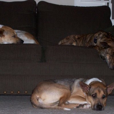 Profile Picture of GrandLarson-y (@Mensatexas) on Twitter