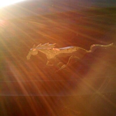 Profile Picture of Lynn Chilson (@ChilsonLynn) on Twitter