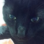 Profile Picture of Justin Pendley (@pendleyjustin) on Instagram