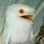 Profile Picture of ruben jacobs (@ruben_b_jacobs) on Instagram