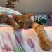 Profile Picture of Joseph Steigerwald (@Joseph-Steigerwald) on Facebook
