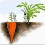 Profile Picture of Carlos Lock (@lock.carlos) on Instagram