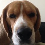 Profile Picture of Colin stewart (@colin_stewart1974) on Instagram