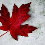 Profile Picture of David Clearwater (@clearwaterdavid) on Instagram