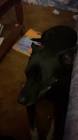 Profile Picture of   Ariel Buhr... (@squirrely.earl) on Tiktok