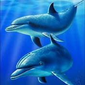 Profile Picture of Alex Vides (@alexvides7771) on Youtube