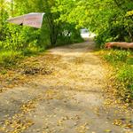 vonnie clarke - Instagram Profile Picture of vonnie clarke (@clarke789nda) on Instagram