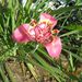 Profile Picture of Julia Crain (@jrcrain55) on Pinterest