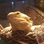 Profile Picture of April Benoit (@aprilbenoit54) on Instagram