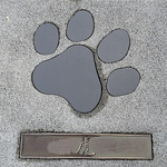 Profile Picture of sy lin (@S. Y. Lin) on Flickr