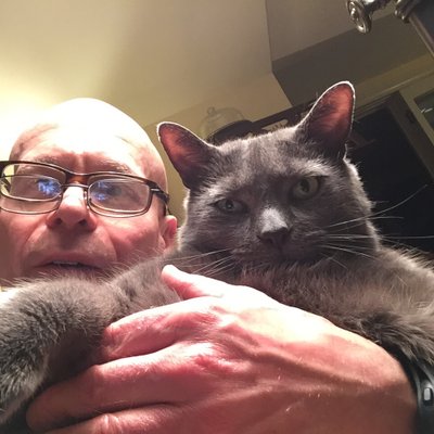 Profile Picture of Mark S. Konecky, Ph.D. (@KoneckyS) on Twitter