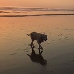 Quinn Fox - Instagram Profile Picture of Quinn Fox (@quinn_foxy) on Instagram