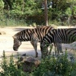 Profile Picture of Brad (@bradwatkinsonkt) on Instagram